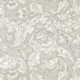 Morris, Pure Morris Wallpapers, Pure Bachelors Button, DMPU216050