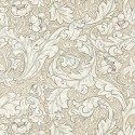 Morris, Pure Morris Wallpapers, Pure Bachelors Button, DMPU216051