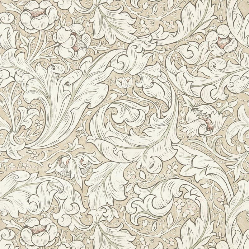 Morris, Pure Morris Wallpapers, Pure Bachelors Button, DMPU216051