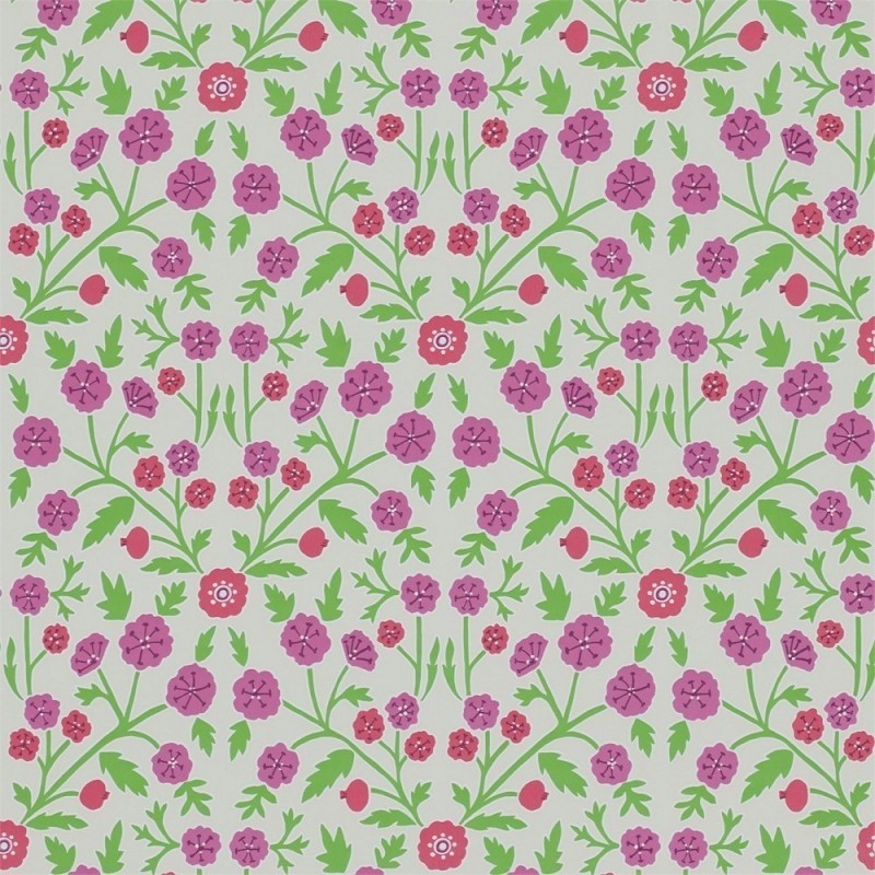 Sanderson Home, Papavera Wallpapers, Candytuft, DPAV214760