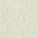 Sanderson, Emma Bridgewater Wallpaper, Daisy Spot, DEMB213634