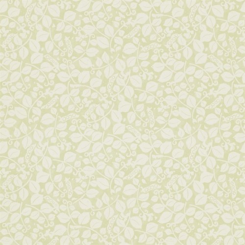 Sanderson, Emma Bridgewater Wallpaper, Sweet Pea, DEMB213638