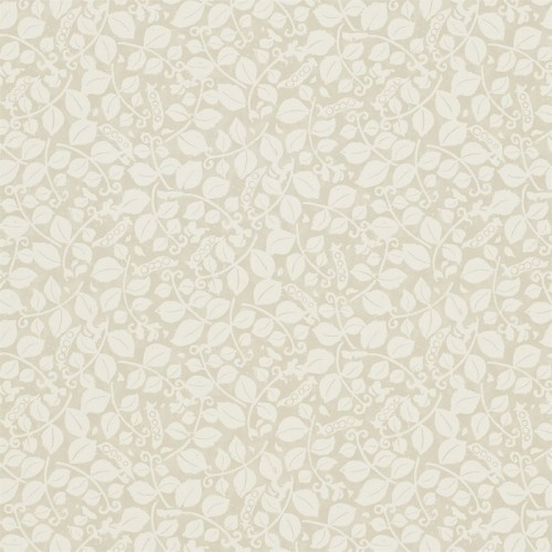 Sanderson, Emma Bridgewater Wallpaper, Sweet Pea, DEMB213639