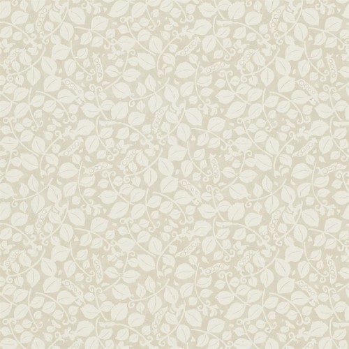 Sanderson, Emma Bridgewater Wallpaper, Sweet Pea, DEMB213639