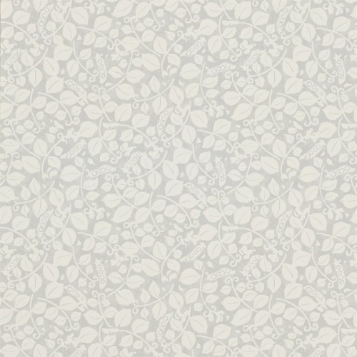 Sanderson, Emma Bridgewater Wallpaper, Sweet Pea, DEMB213640