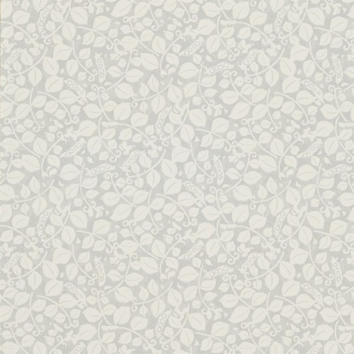 Sanderson, Emma Bridgewater Wallpaper, Sweet Pea, DEMB213640